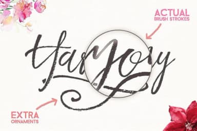 Harmony King Font by JumboDesign — Script Handwritten Font — thumbnail 6