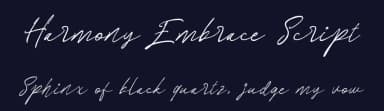 Harmony Embrace Script by Letterhend Studio — Script Handwritten Font — thumbnail 2