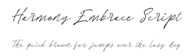 Harmony Embrace Script by Letterhend Studio — Script Handwritten Font