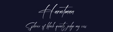 Harntman by Letterena Studios — Script Handwritten Font — thumbnail 2