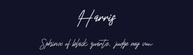 Harris by selawetype — Script Handwritten Font — thumbnail 2
