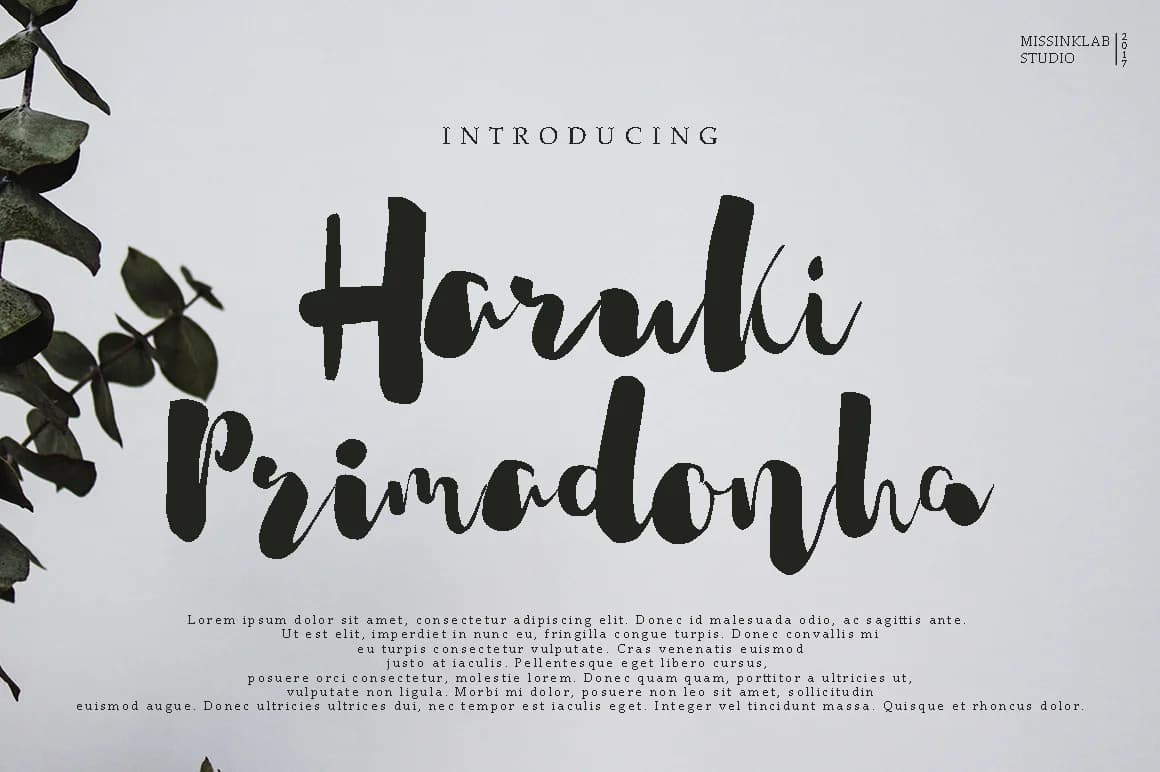 Haruki Primadonha Font by Pineungtype & Missinklab — Script Handwritten Font