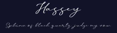 Hassey by Graphicfresh — Script Handwritten Font — thumbnail 2