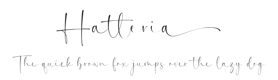 Hatteria by Timur Type — Script Handwritten Font — preview 1