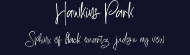 Hawkins Park by LetterStock Std — Script Handwritten Font — thumbnail 2