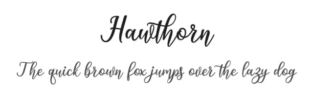 Hawthorn by Amarlettering - Takiy — Script Handwritten Font