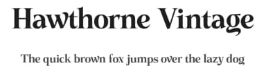 Hawthorne Vintage by Get Studio — Serif Font — thumbnail 1