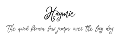 Haymie by Yumna Family — Script Handwritten Font — thumbnail 1