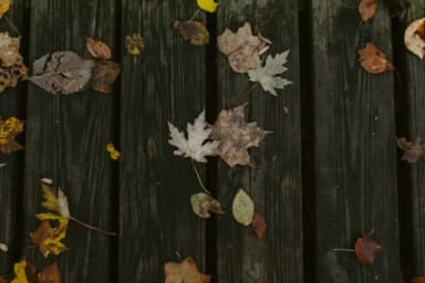 Head Hunter Font by pandastock — Script Handwritten Font — thumbnail 4