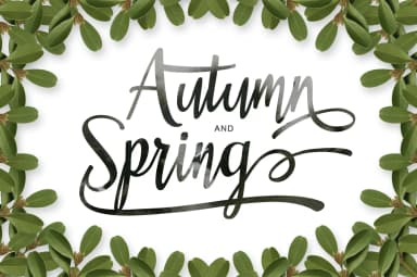 Heartfelt Font by No Gravity Type — Script Handwritten Font — thumbnail 2