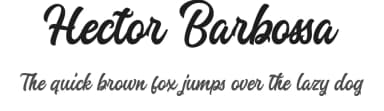 Hector Barbossa by Bhadal Studio — Script Handwritten Font — thumbnail 1