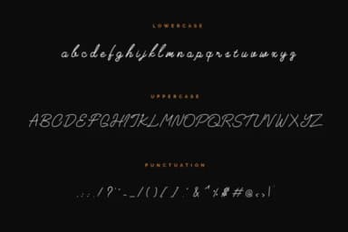 Heima Font by Earlyfair Studio — Script Handwritten Font — thumbnail 5