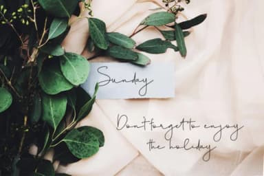 Heliconia Script Font by Fontysia — Script Handwritten Font — thumbnail 3