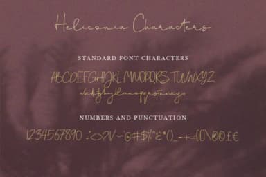Heliconia Script Font by Fontysia — Script Handwritten Font — thumbnail 4
