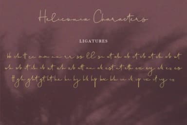 Heliconia Script Font by Fontysia — Script Handwritten Font — thumbnail 5