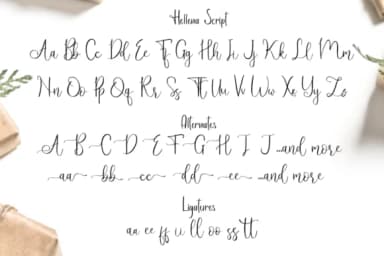 Hellena Font by Haksen by Haksen — Script Handwritten Font — thumbnail 6