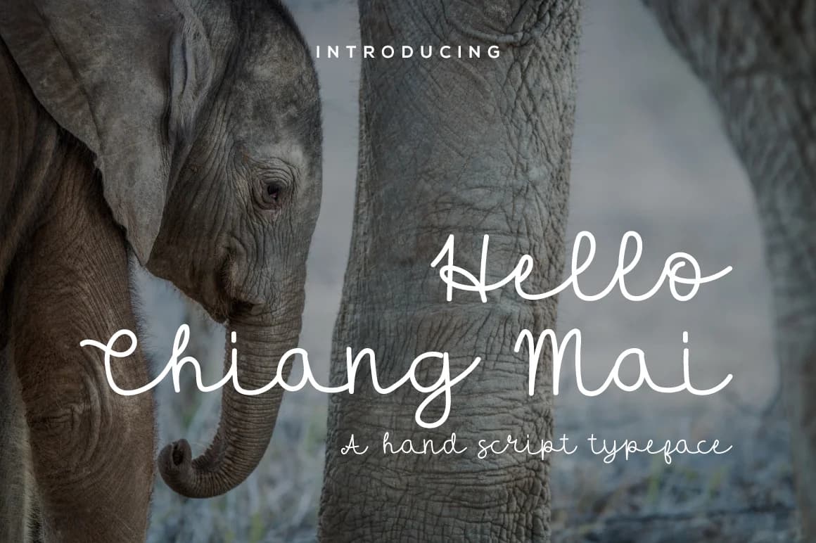 Hello Chiang Mai Font by paramajandesign — Script Handwritten Font