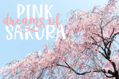 Hello Sakura Font by Pasha Larin — Serif Font — thumbnail 2