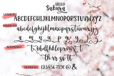 Hello Sakura Font by Pasha Larin — Serif Font — thumbnail 7