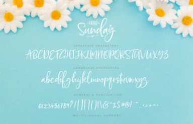 Hello Sunday Font by Silverdav — Script Handwritten Font — thumbnail 8
