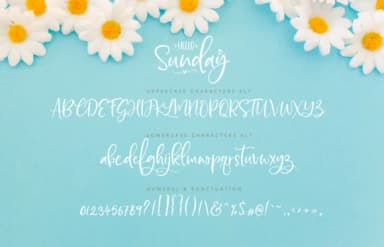 Hello Sunday Font by Silverdav — Script Handwritten Font — thumbnail 9