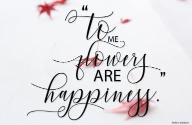 Hello Violetta Font by Bexx Type — Script Handwritten Font — thumbnail 7