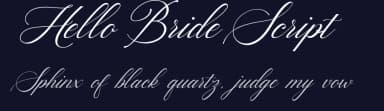 Hello Bride Script by 50Fox Studio — Script Handwritten Font — thumbnail 2