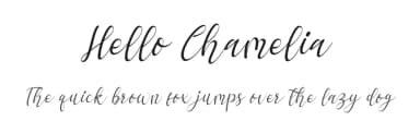 Hello Chamelia by Letterena Studios — Script Handwritten Font — thumbnail 1