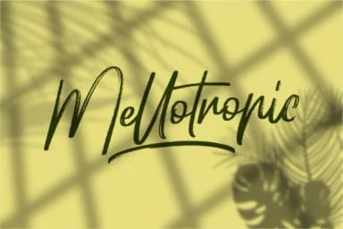 Hellotropica Font by Garisman Studio — Script Handwritten Font — thumbnail 7