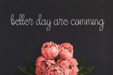 Her Garden Font by Mojibam — Script Handwritten Font — thumbnail 2