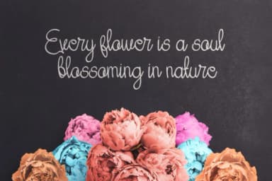 Her Garden Font by Mojibam — Script Handwritten Font — thumbnail 3