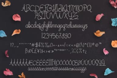 Her Garden Font by Mojibam — Script Handwritten Font — thumbnail 6