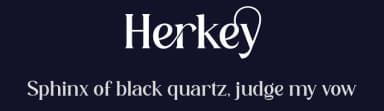 Herkey by HansCo — Serif Font — thumbnail 2