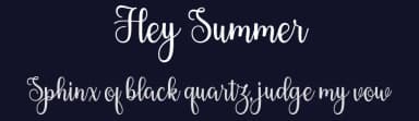 Hey Summer by Skinny Type — Script Handwritten Font — thumbnail 2