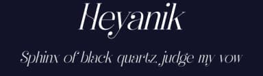 Heyanik by Storytype Studio — Serif Font — thumbnail 2