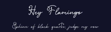 Hey Flamingo by Erik Studio — Script Handwritten Font — thumbnail 2