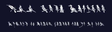 HFF Bird Stencil by Have Fun with Fonts — Dingbats Font — thumbnail 2