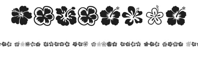 Hibiscus by pokelele — Dingbats Font