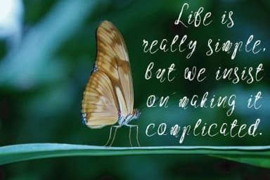 High Desert Font by Royaltype — Script Handwritten Font — thumbnail 4