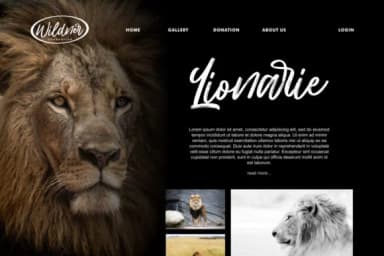 Hillbear Font by StringLabs — Script Handwritten Font — thumbnail 8