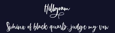 Hillogam by FallenGraphic Studio — Script Handwritten Font — thumbnail 2