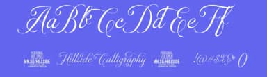 Hillside Calligraphy by Måns Grebäck — Script Handwritten Font — thumbnail 3