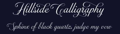 Hillside Calligraphy by Måns Grebäck — Script Handwritten Font — thumbnail 2