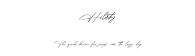 Hilority by Maulana Creative — Script Handwritten Font — thumbnail 1