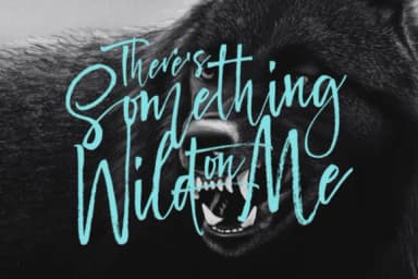 Him Font by I Do Not Sleep — Script Handwritten Font — thumbnail 3