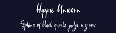 Hippie Unicorn by DM Letter Studio - Dimas Prasetyo — Script Handwritten Font — thumbnail 2