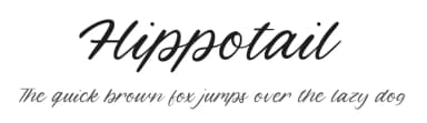 Hippotail by Balpirick Studio — Script Handwritten Font — thumbnail 1