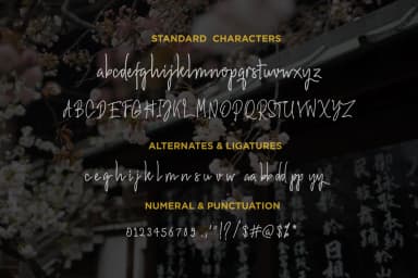 Hiroshima Font by Sronstudio — Script Handwritten Font — thumbnail 7