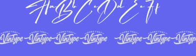 History Sign by VinType — Script Handwritten Font — thumbnail 3