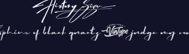 History Sign by VinType — Script Handwritten Font — thumbnail 2